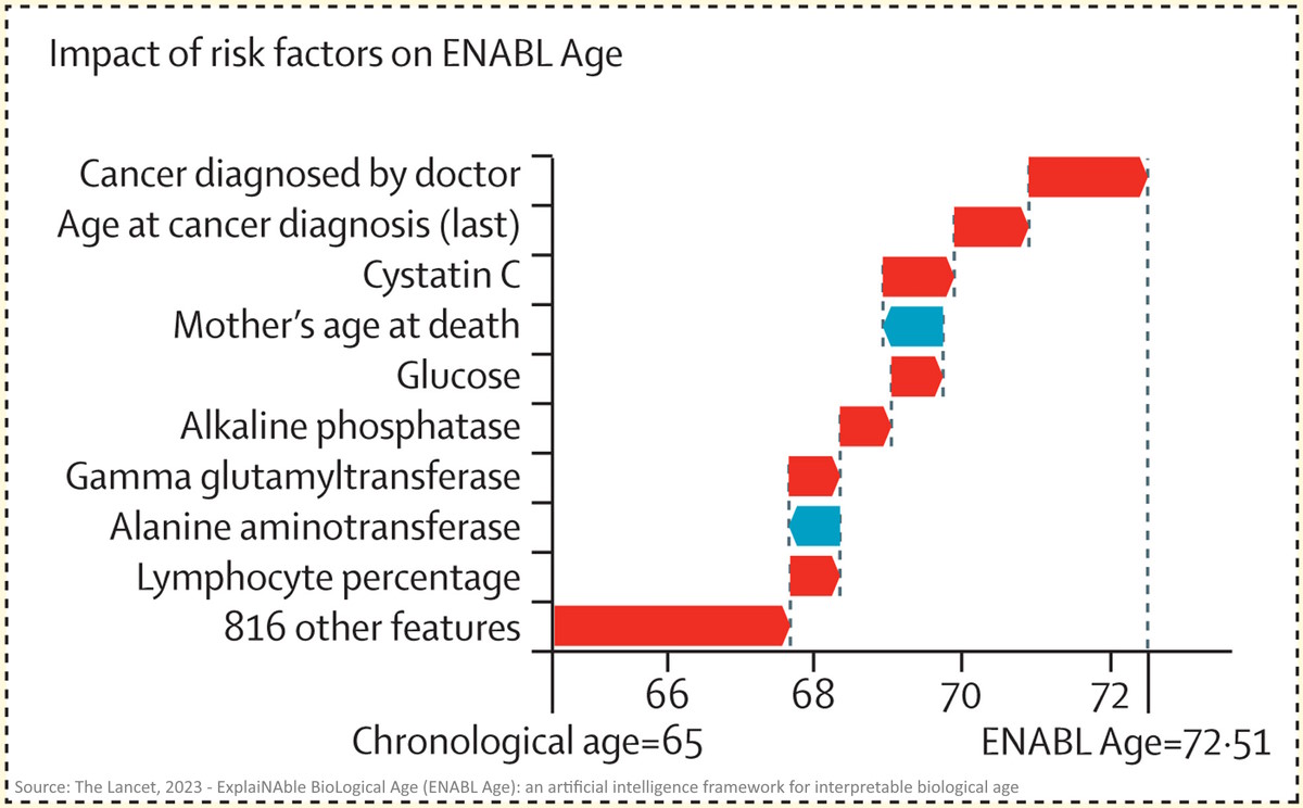 New AI tool ENABL Age provides personalised insights into healthy ageing