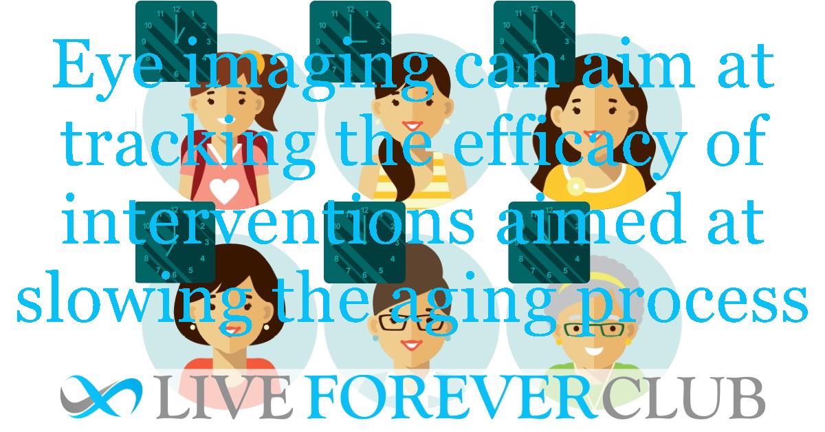 Eye imaging can track the efficacy of interventions aimed at slowing the aging process