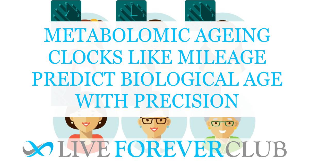 Metabolomic ageing clocks like MileAge predict biological age with precision