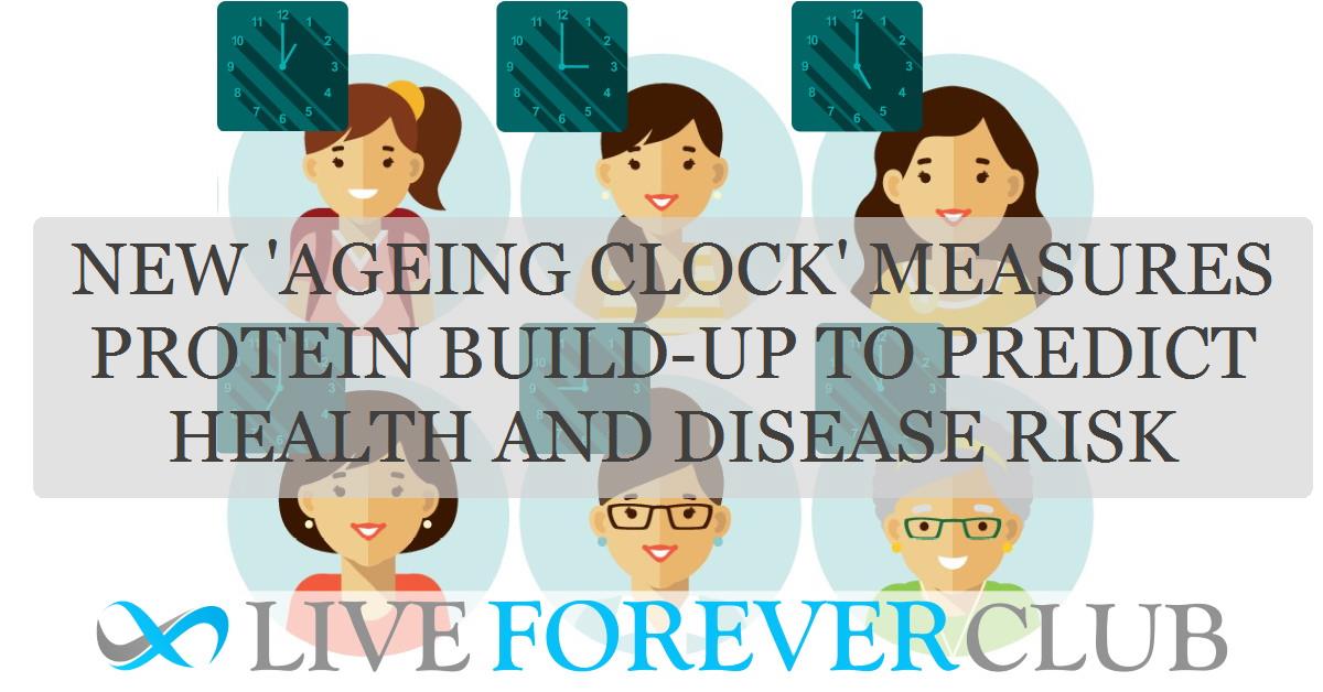 New 'ageing clock' measures protein build-up to predict health and disease risk