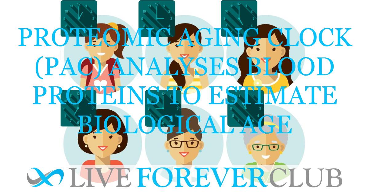 Proteomic Aging Clock (PAC) analyses blood proteins to estimate biological age