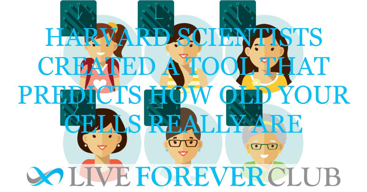 Harvard scientists created a tool that predicts how old your cells really are