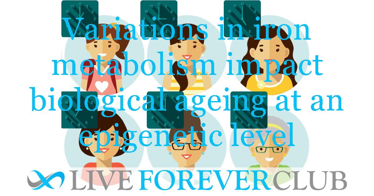 Variations in iron metabolism impact biological ageing at an epigenetic level