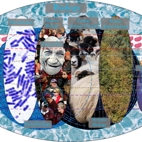 What Happened to Plain-Old Biology?!