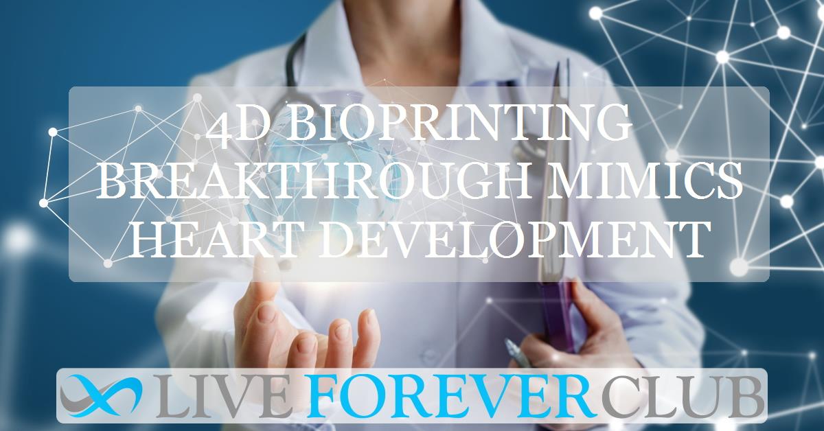 4D bioprinting breakthrough mimics heart development