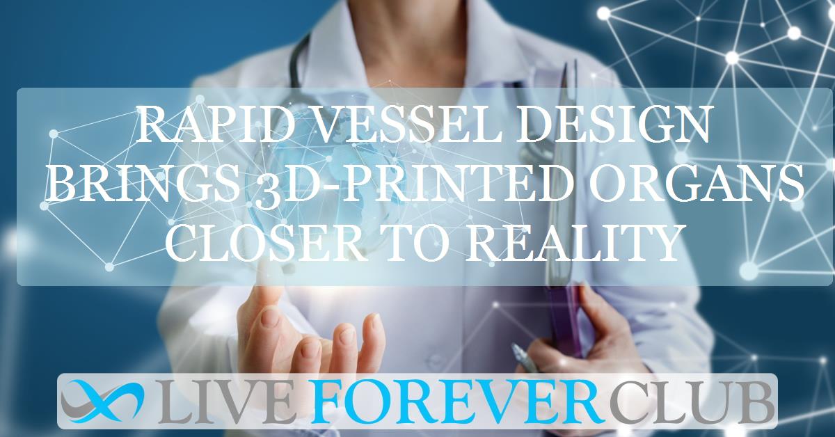 Rapid vessel design brings 3D-printed organs closer to reality