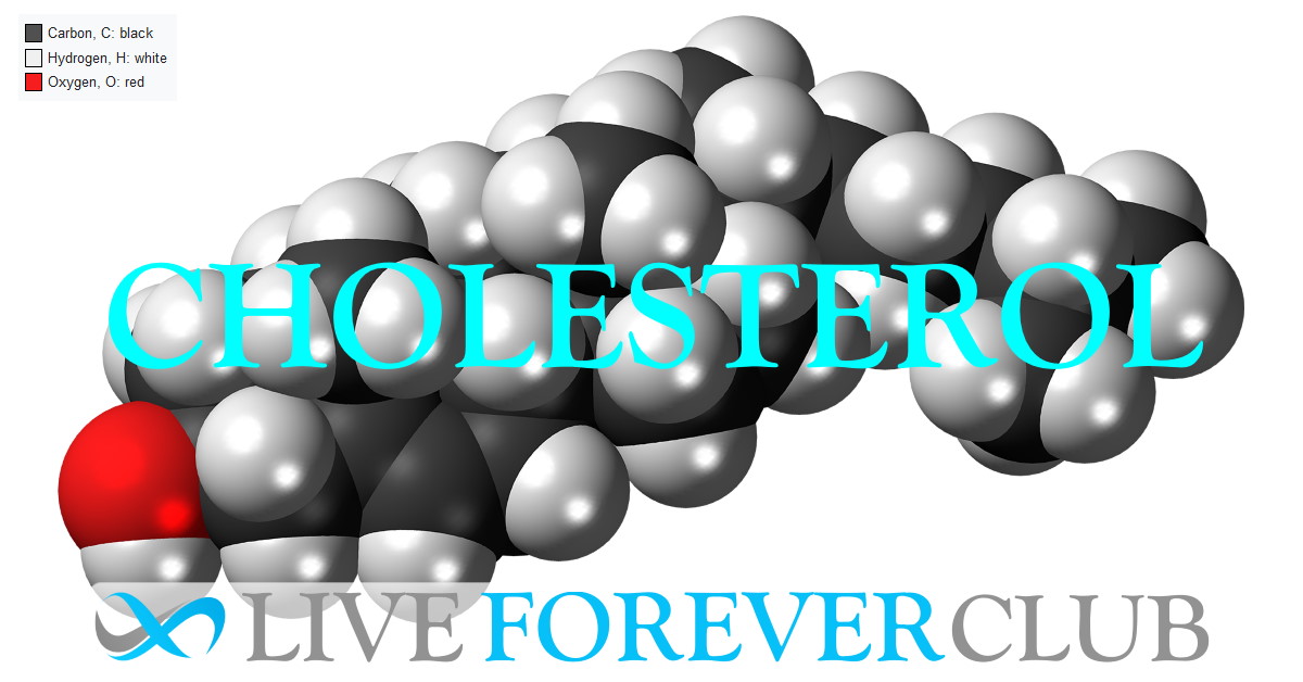 Blood Cholesterol