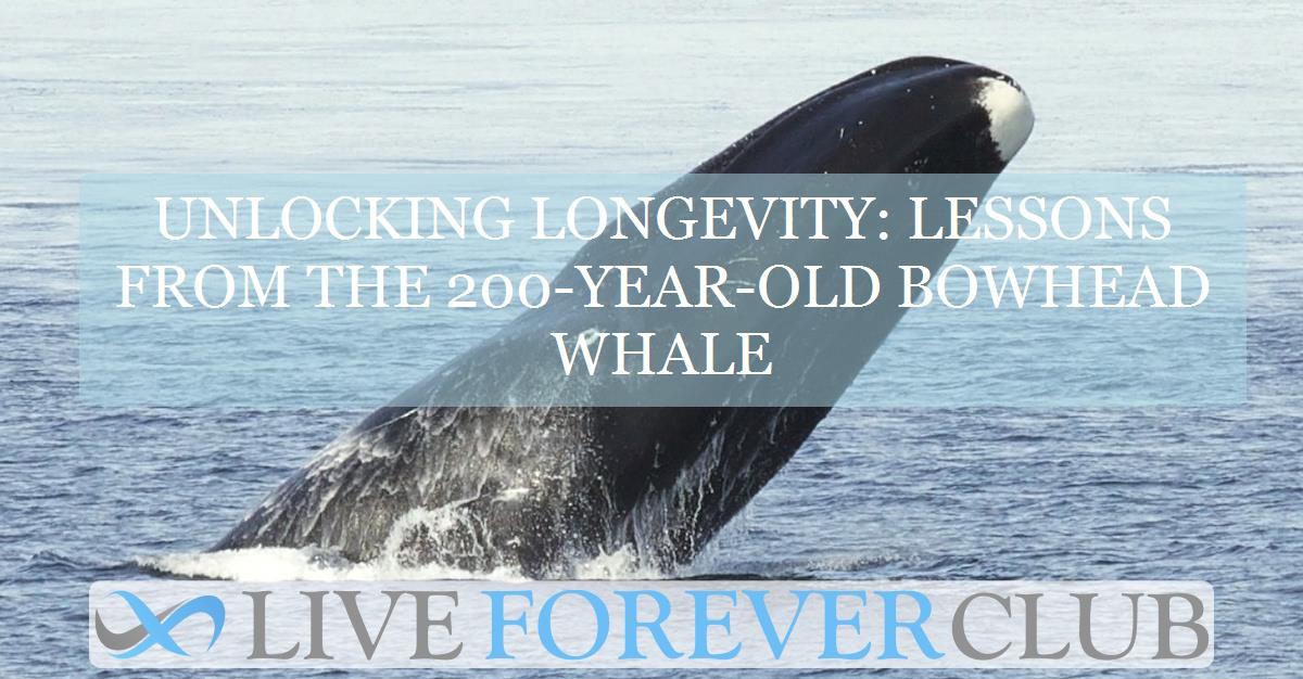 Unlocking longevity: lessons from the 200-year-old bowhead whale