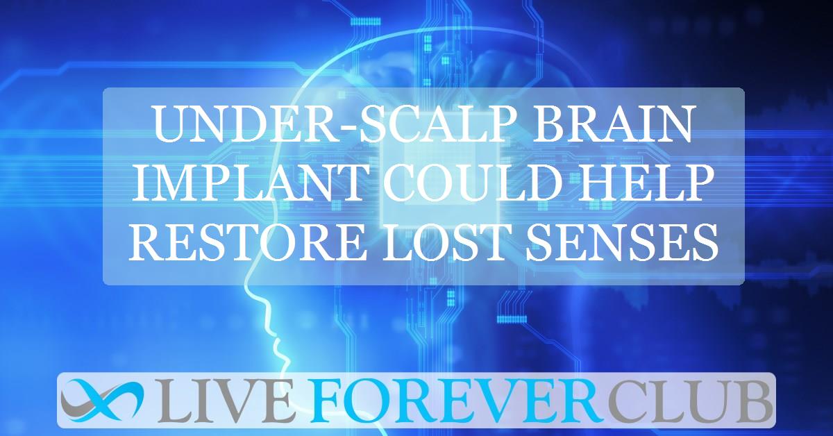 Under-scalp brain implant could help restore lost senses