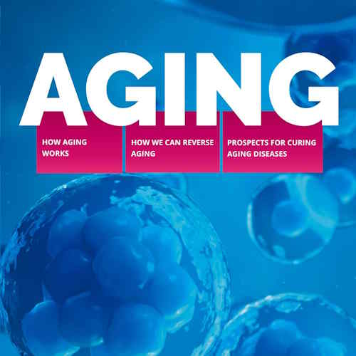 Aging: How Aging Works information and news