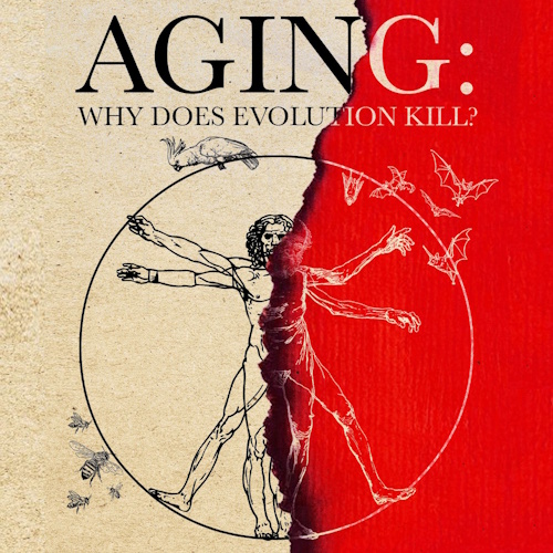 Aging: Why Does Evolution Kill? information and news