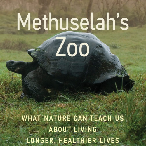 Methuselah’s Zoo information and news