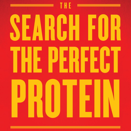 The Search for the Perfect Protein information and news