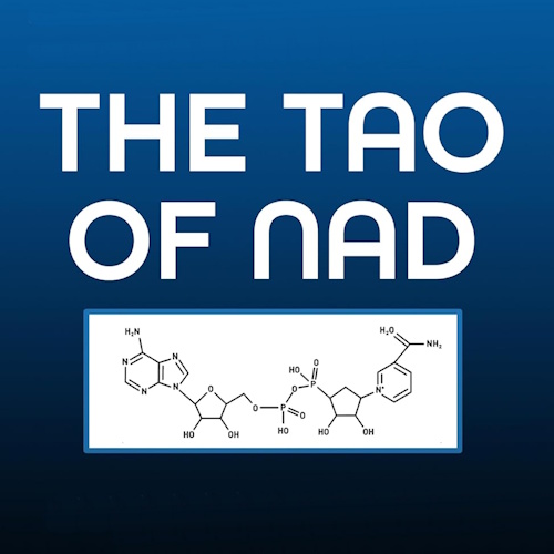 The Tao Of NAD information and news