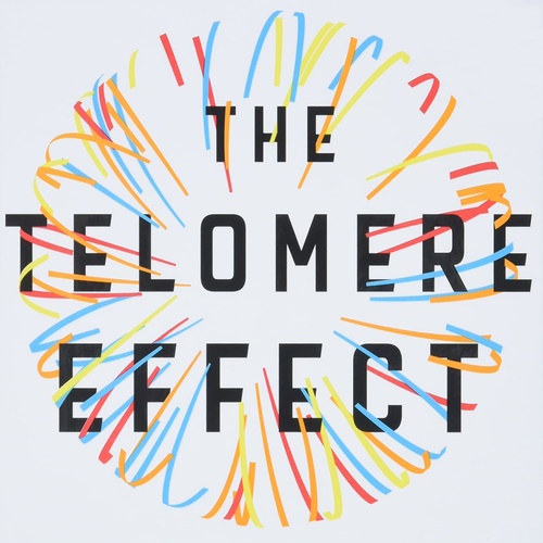 The Telomere Effect: A Revolutionary Approach to Living Younger, Healthier, Longer information and news