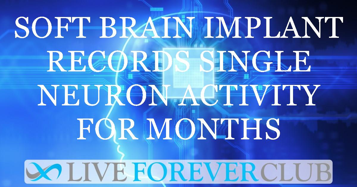 Soft brain implant records single neuron activity for months