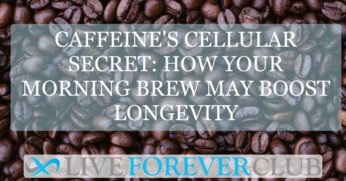Caffeine's cellular secret: how your morning brew may boost longevity