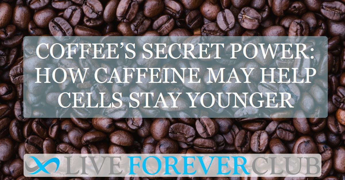 Coffee’s secret power: how caffeine may help cells stay younger