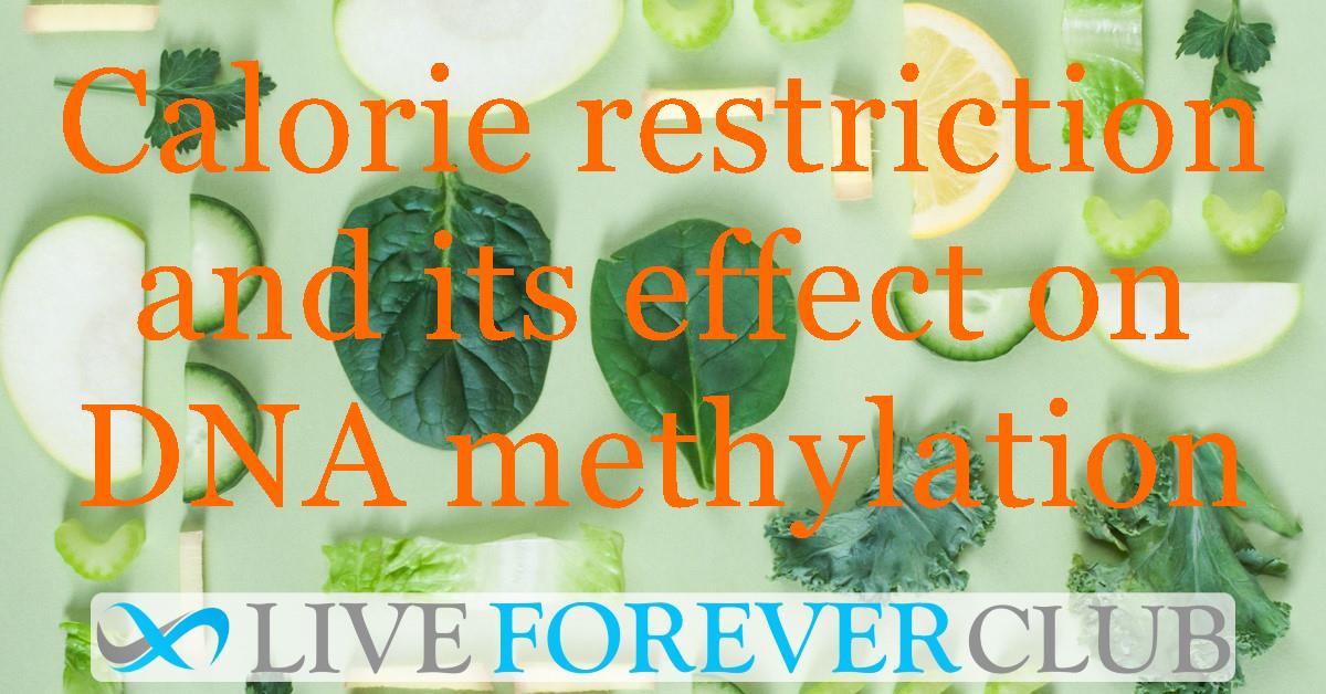 Calorie restriction and its effect on DNA methylation