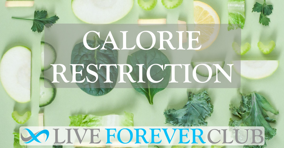 Calorie Restriction
