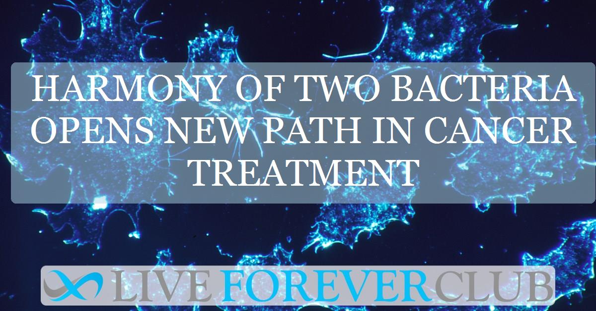 Harmony of two bacteria opens new path in cancer treatment