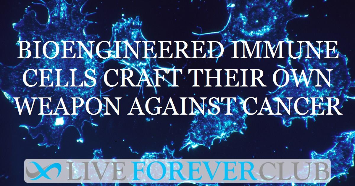Bioengineered immune cells craft their own weapon against cancer