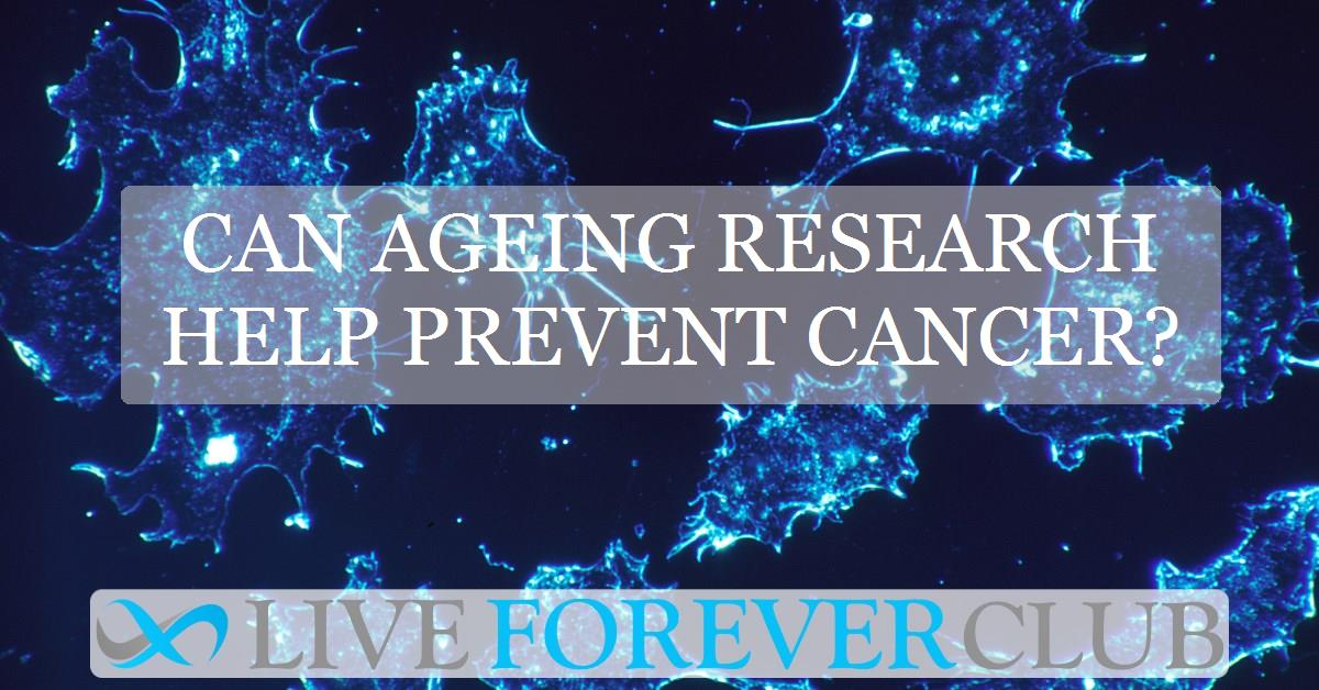 Can ageing research help prevent cancer?