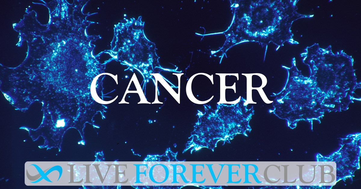CAR-T Therapy