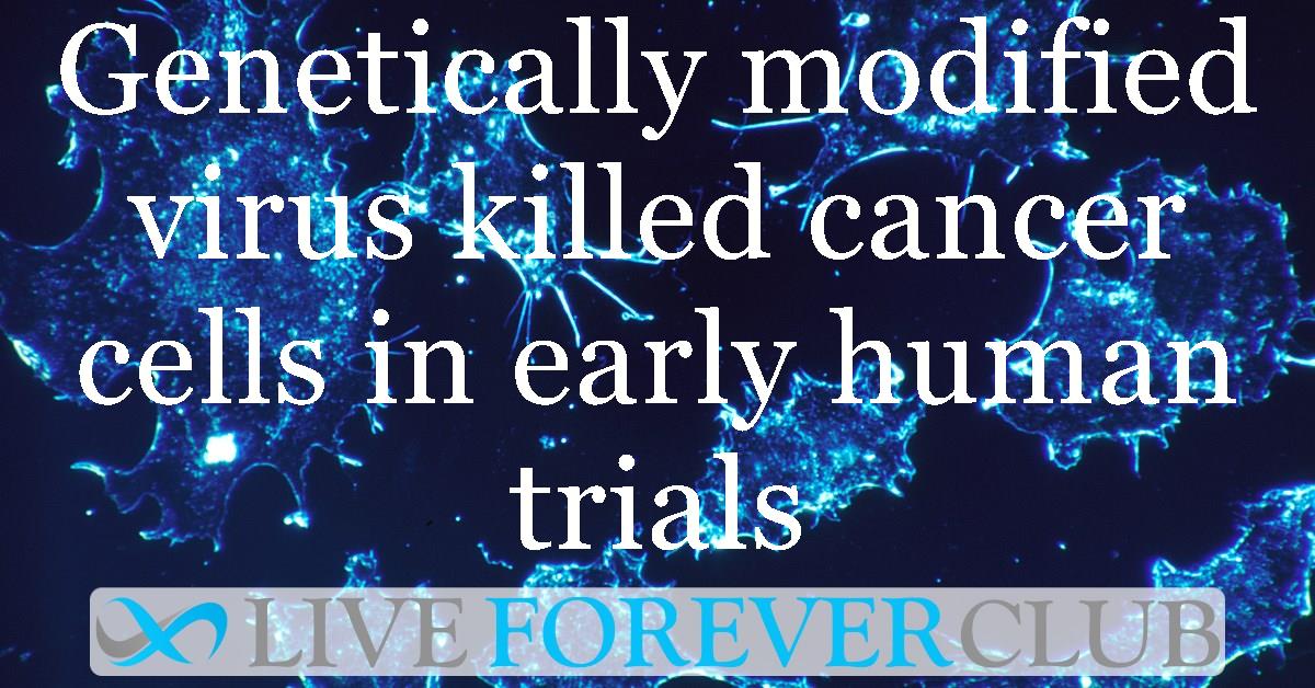 Genetically modified virus killed cancer cells in early human trials