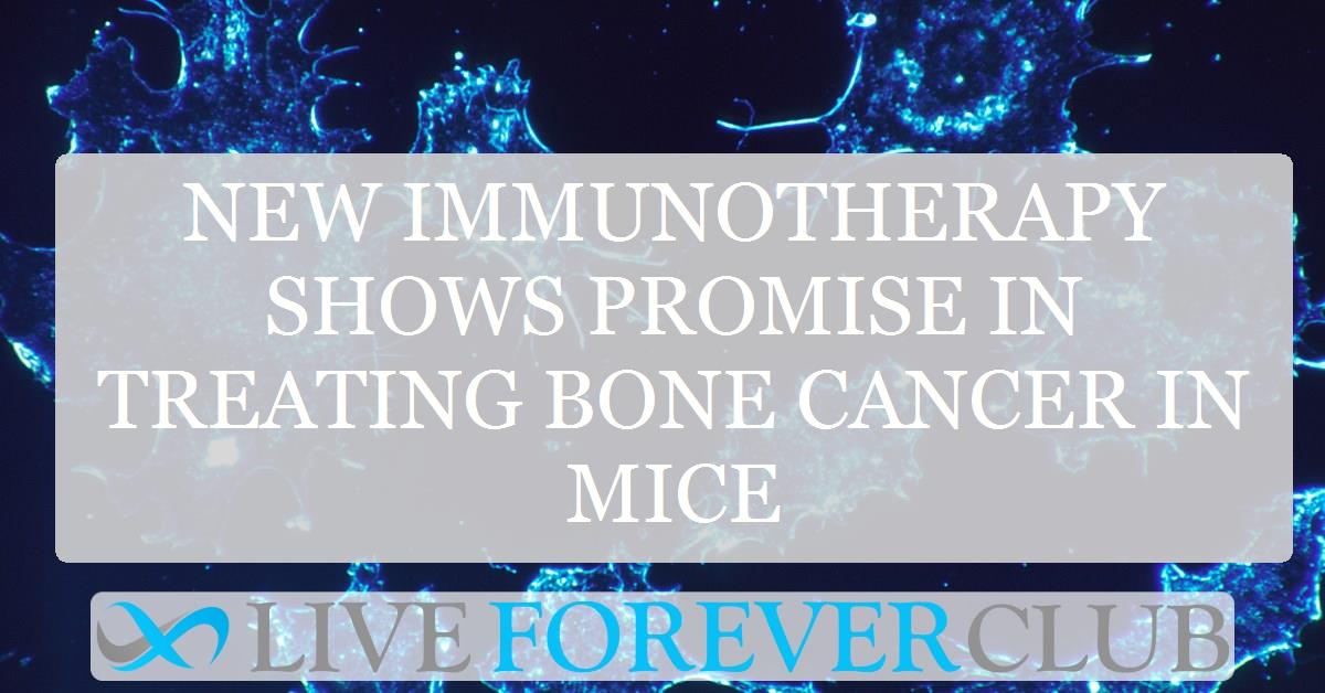 New immunotherapy shows promise in treating bone cancer in mice