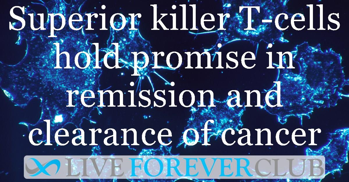 Superior killer T-cells hold promise in remission and clearance of cancer