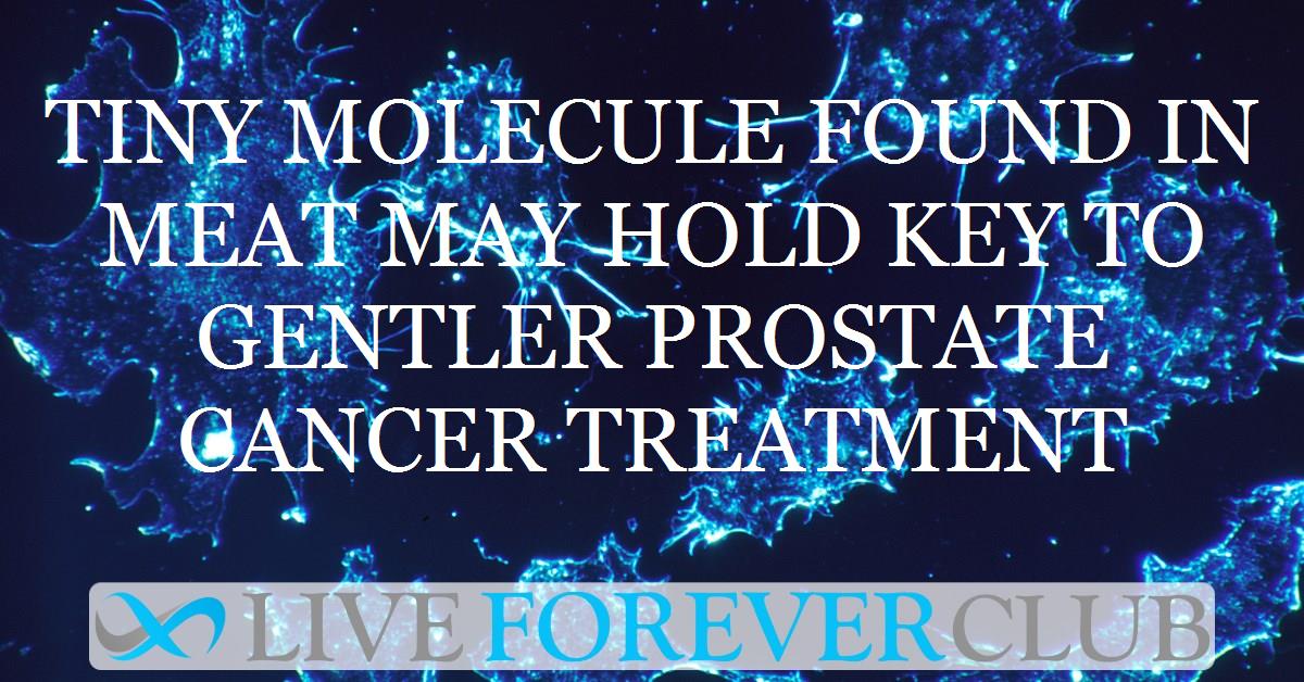 Tiny molecule found in meat may hold key to gentler prostate cancer treatment