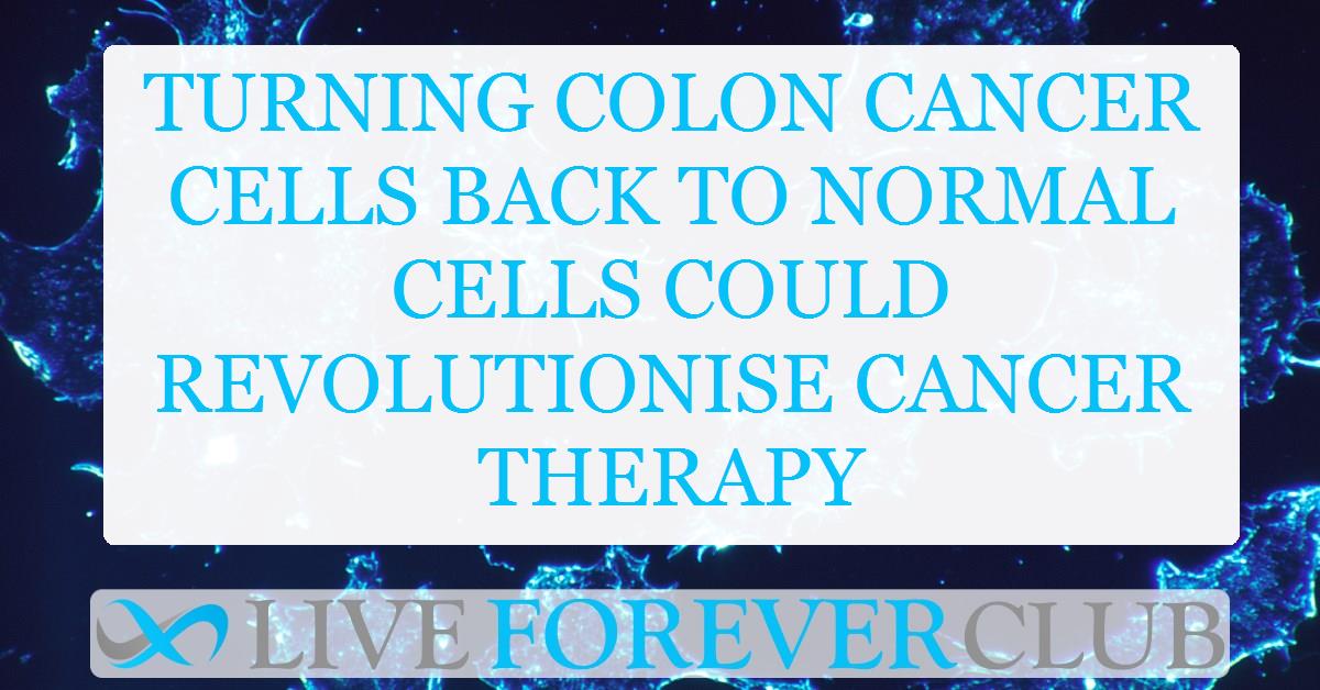 Turning colon cancer cells back to normal cells could revolutionise cancer therapy