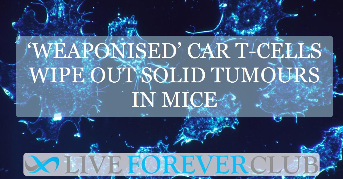 ‘Weaponised’ CAR T-cells wipe out solid tumours in mice