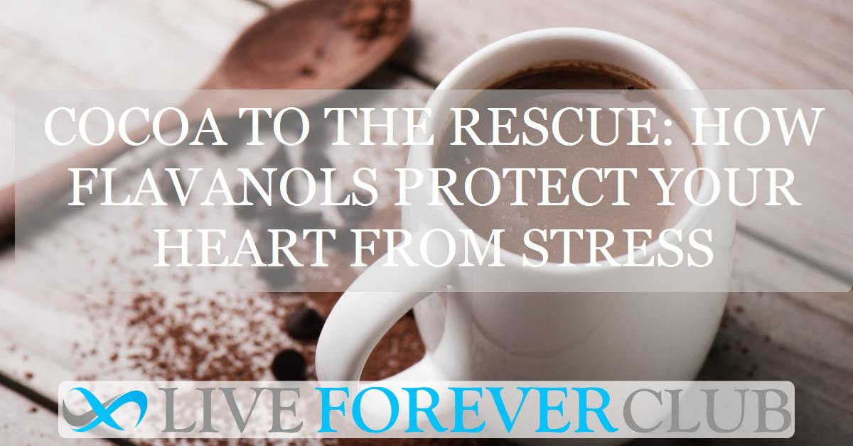 Cocoa to the rescue: how flavanols protect your heart from stress