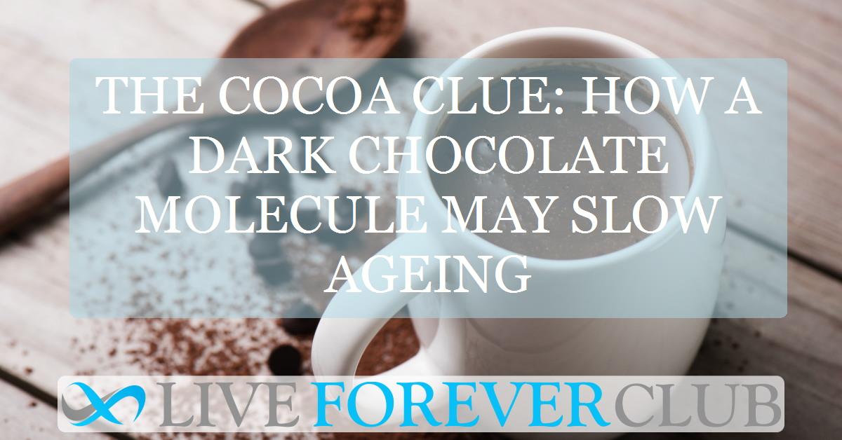 The cocoa clue: how a dark chocolate molecule may slow ageing
