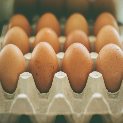 More Cholesterol (dietary) information, news and resources
