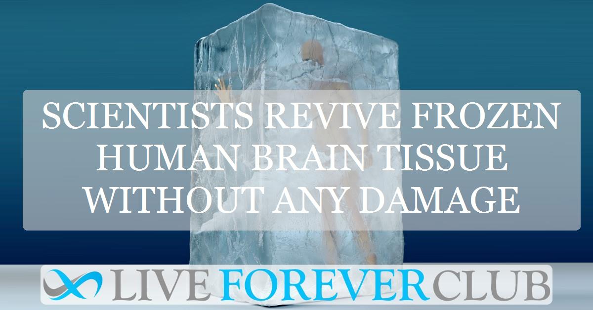 Scientists revive frozen human brain tissue without any damage