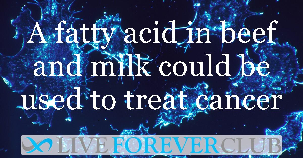 A fatty acid in beef and milk could be used to treat cancer