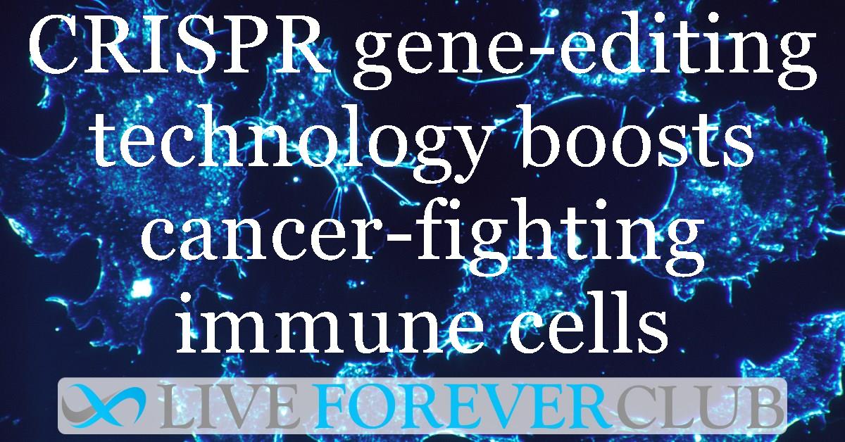CRISPR gene-editing technology boosts cancer-fighting immune cells