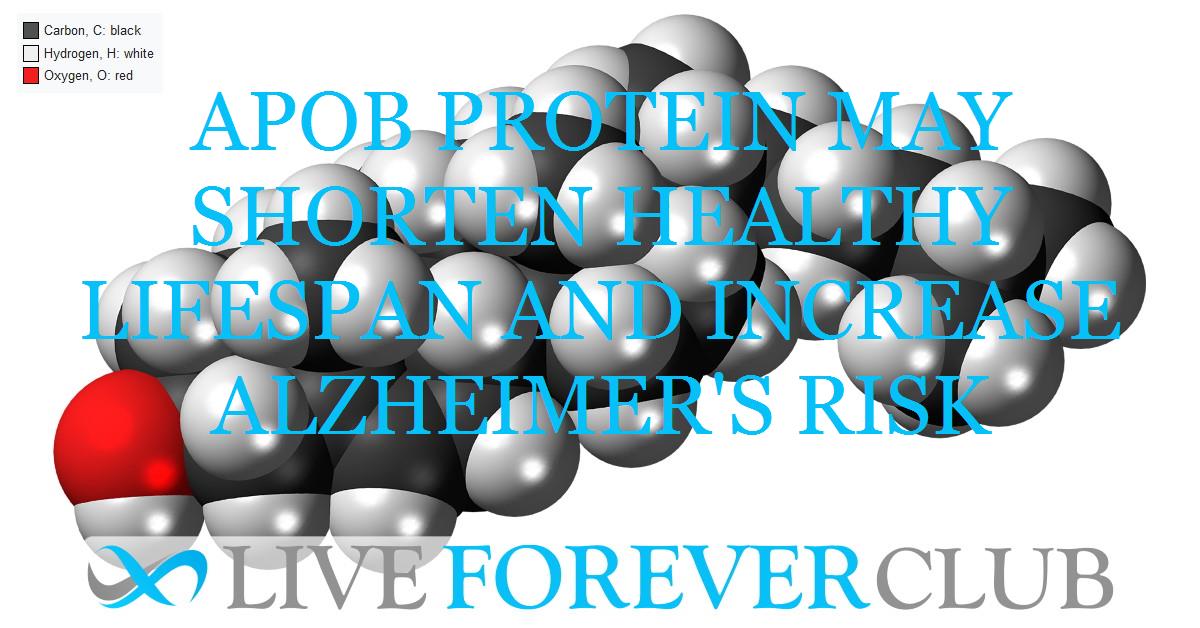 APOB protein may shorten healthy lifespan and increase Alzheimer's risk