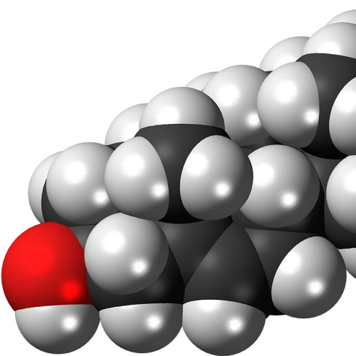 More Cholesterol (blood) information, news and resources