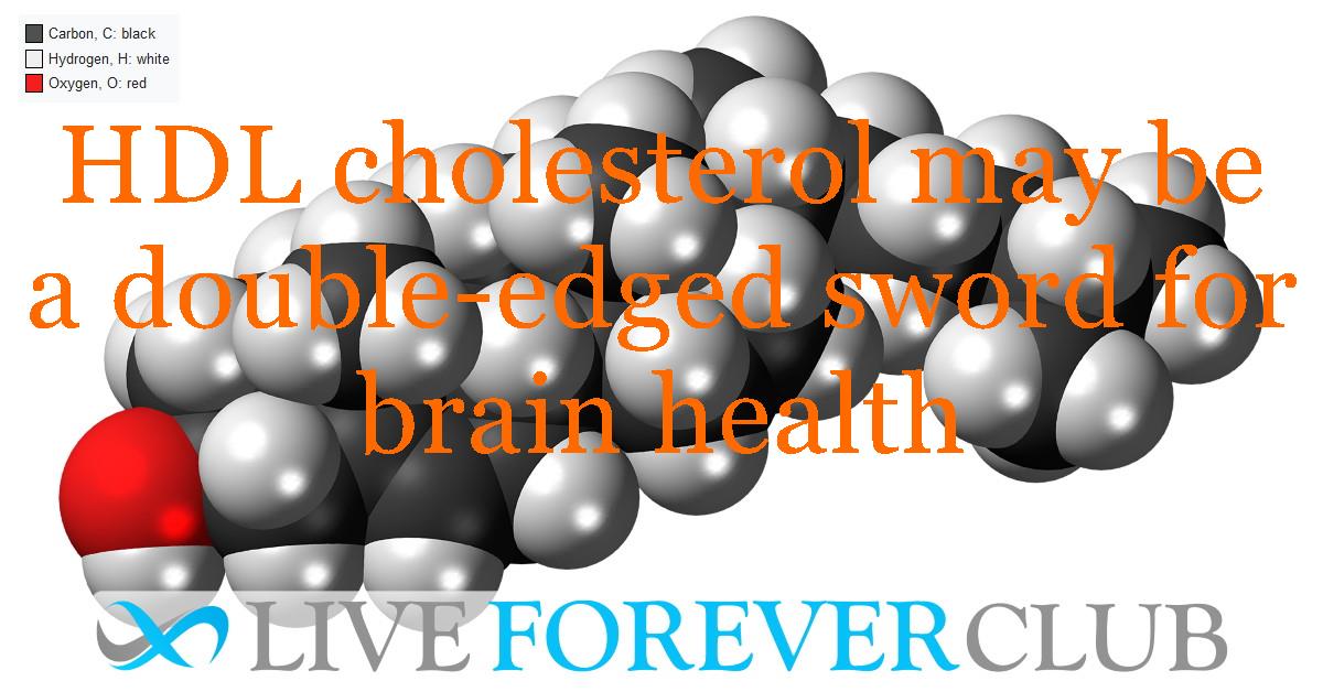 HDL cholesterol may be a double-edged sword for brain health