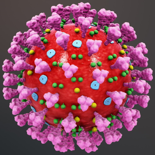 Types of coronavirus tests, and how accurate are they?