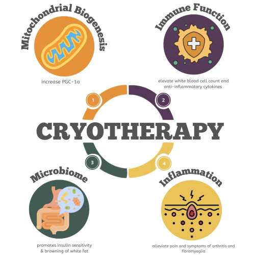 Effects of Whole Body Cryotherapy (WBC)