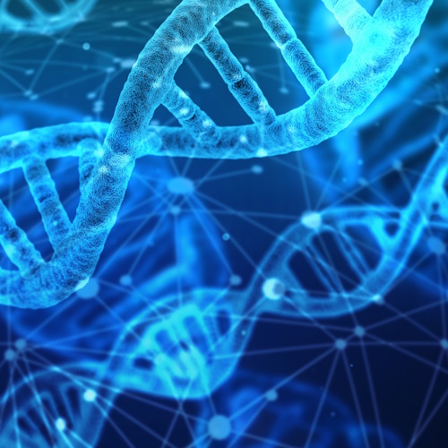 More DNA Testing information, news and resources