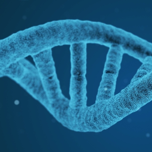 A snailfish modified its DNA for survival in the deep ocean