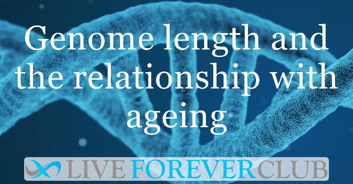 Genome length and the relationship with ageing: An analysis