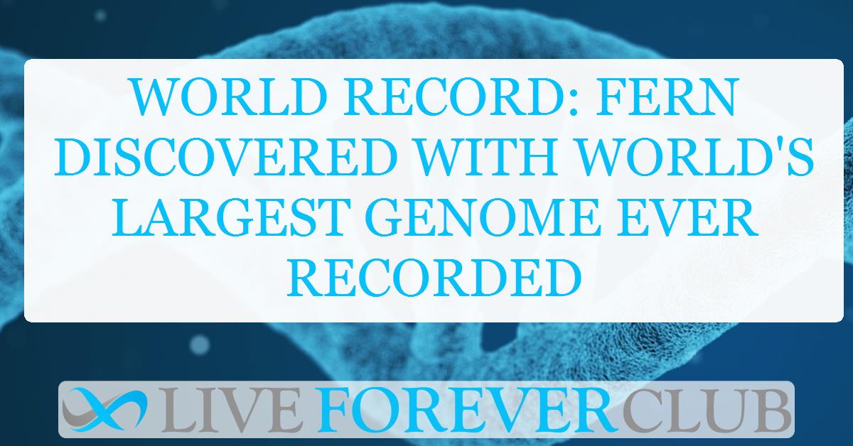 World record: Fern discovered with world's largest genome ever recorded