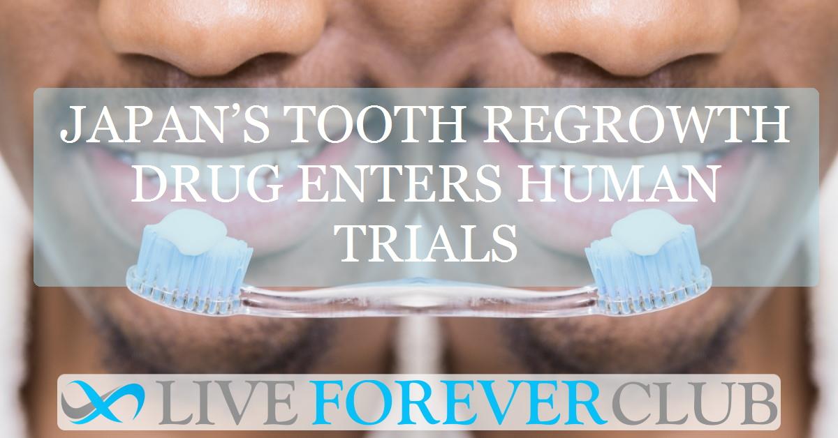 Japan’s tooth regrowth drug enters human trials